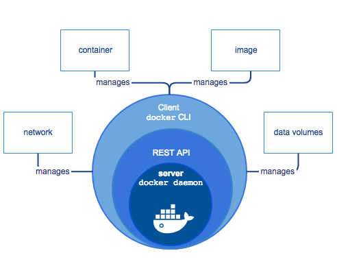 Docker client-server components: the Docker CLI interacts with the Docker host/daemon to manage images and containers